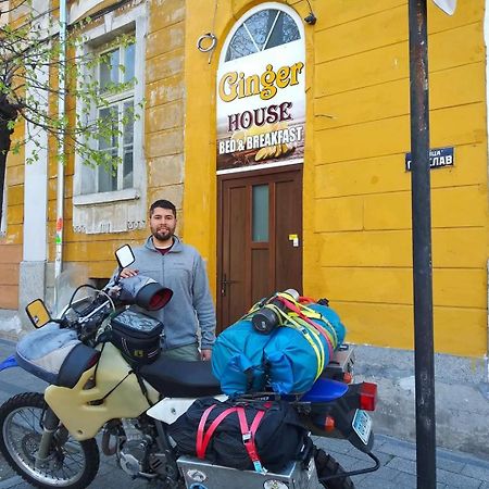 Hostel Ginger House بلوفديف المظهر الخارجي الصورة